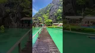 Walking Across A Lake In A Tropical Paradise