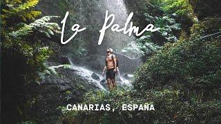 LA PALMA the island everyone is talking about Canary Islands Spain 4K