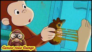 Curioso come George La scimmia pazza  Cartoni Animati per Bambini Stagione 9