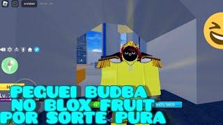 BLOX FRUIT  PEGUEII BUDBA FINAL MENTE  FUI RAID