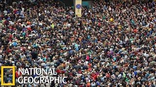 Последствия Перенаселенная планета National Geographic HD