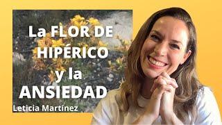 La flor de hipérico en la ANSIEDAD. Descubre en este vídeo los Efectos y beneficios.