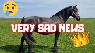Very sad news QueenUniek has lost another foal  Friesian Horses