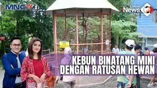 Kebun Binatang Mini dengan Ratusan Hewan di Sleman Yogyakarta - LIP 0410