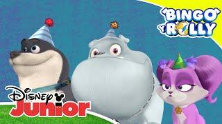 Bingo y Rolly Compilado musical  Disney Junior Oficial