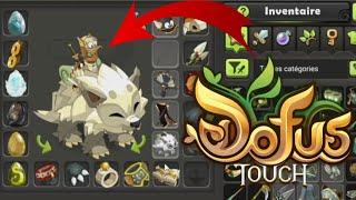 JE FAIS DU PVP SUR DOFUS TOUCH 