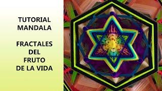 Mandala Fractals of the Fruit of Life