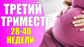 ТРЕТИЙ ТРИМЕСТР 10 главных перемен женщины перед родами