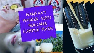 MANFAAT MASKER SUSU BERUANG CAMPUR MADU