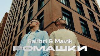 Galibri & Mavik - Ромашки Премьера клипа 2024