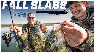 How to Catch Giant Fall Crappies on Jigs and Plastics