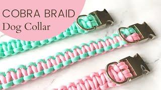 Cobra Braid Dog Collar  Full Step-by-Step Tutorial