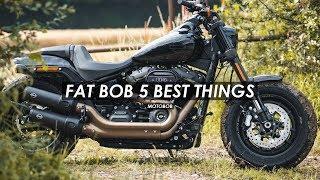 2019 Harley-Davidson Fat Bob 114 First Ride Review 5 Best Things