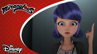  A Kwamiirtó  Miraculous  Disney Csatorna