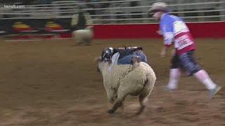 VIDEO Mutton Busting highlights that are worth the watch