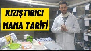 KIZIŞTIRICI MAMA TARİFİ  Üretim öncesi bol vitaminli mama tarifi. KanaryaMuhabbetPapaganİspinoz