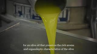 Olio mio - Olive oil production  phase description