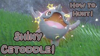 Shiny Cetoddle + How to Hunt it - Pokemon Violet