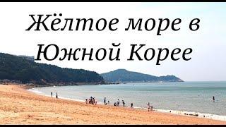 Поездка на жёлтое море в Южной Корее.