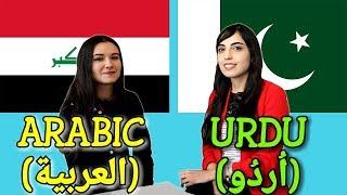 Similarities Between Arabic and Urdu