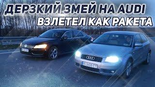 Дерзкий ЗМЕЙ на Audi взлетел как ракета. ЛЮТЫЙ РЕВАНШ - это уже не шутки