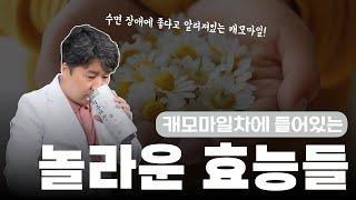 메디컬 리뷰 Ep. 31ㅣ캐모마일차 마시면 OO에 도움이 된다?