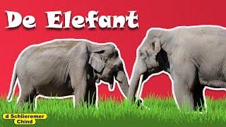 Schlieremer Chind - De Elefant
