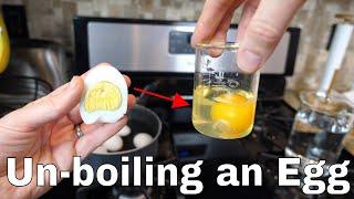 Is it Possible to Unboil an Egg? The Amazing Uncooking Experiment