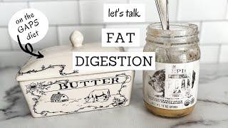Fat Digestion and Absorption on the GAPS Diet  Bumblebee Apothecary
