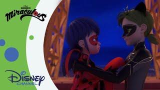  Egyszerűen tökéletes  Miraculous  Disney Csatorna