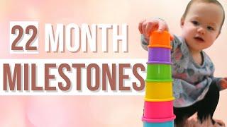 22 MONTH DEVELOPMENTAL MILESTONES  What Your 22 Month Old Toddler Should Be Able To Do