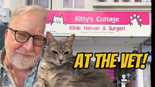 Pets in Malaysia  Vet care etc. - Retire to Malaysia