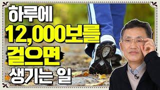 ENG SUB걸으면 근육에서 이것이 나온다고?  - 따뜻한 명의 #12 #운동 #걷기