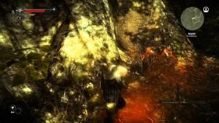 The Witcher 2 - Find Malena