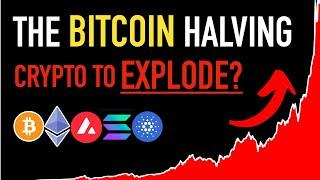 The Bitcoin Halving Crypto To Explode?  Must See