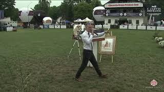 All Polish Arabian Horse Championship 2024   Charity Auction