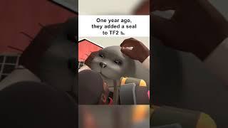 One year of TF2 Seal 
