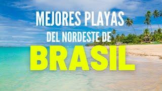 2023 Las MEJORES PLAYAS ️del NORDESTE DE BRASIL 