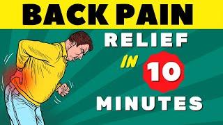 Lower Back Pain - Everything You Need to Know  Lower Back Pain Exercises FAST RELIEF