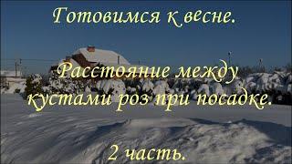 Готовимся к весне. Расстояние между кустами роз при посадке. 2 часть.. Питомник растений Е. Иващенко