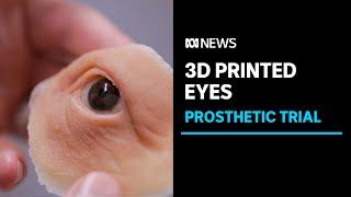 The new 3D printing technology revolutionising artificial eyes for patients  ABC News