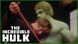 Hulk Vs Dojo Masters  Season 2 Episode 17  The Incredible Hulk