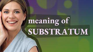 Substratum  meaning of Substratum