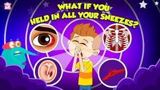 What If You Held in All Your Sneezes?  Is Sneezing Dangerous?  Why Do We Sneeze ?  Dr Binocs Show