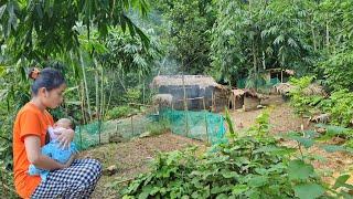 usaha seorang ibu tunggal bersama putranya tinggal di hutan berkebun dan menanam sayura