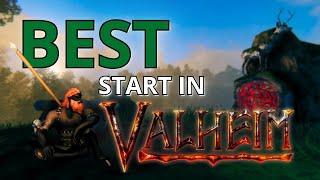 TIPS & TRICKS Starting Valheim DOs and DONTs to Master the Stone Age FAST NO SPOILERS
