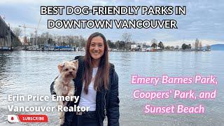 Best Dog-Friendly Parks in Downtown Vancouver Emery Barnes Park Coopers Park and Sunset Beach