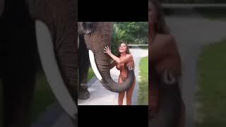 See what the girl did to the elephant. If you dont see it with your own eyes you wont believe it