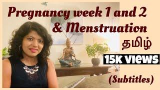 Pregnancy Week By Week In Tamil  Week 1 And Week 2  The Menstrual Cycle  Ovulation in Tamil