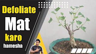 Defoliate kar ne acha ye karo  leaf trimmimg  hindi